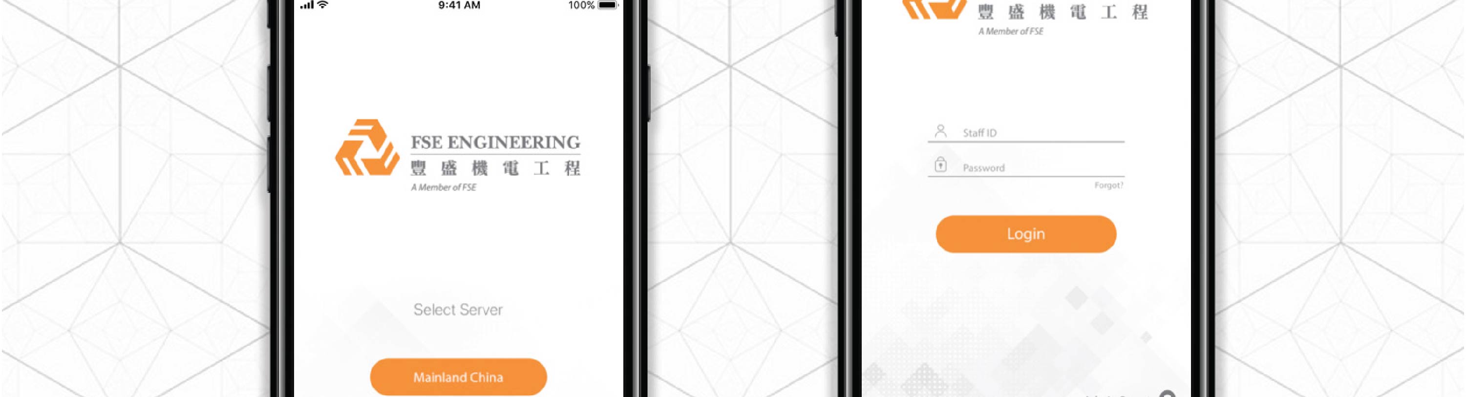 UI of Login Page for FSEE Limited